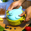 Figural Blue Bird Brie Baker