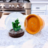 Salt & Pepper Shaker Cactus