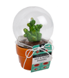 SALT & PEPPER SHAKER CACTUS