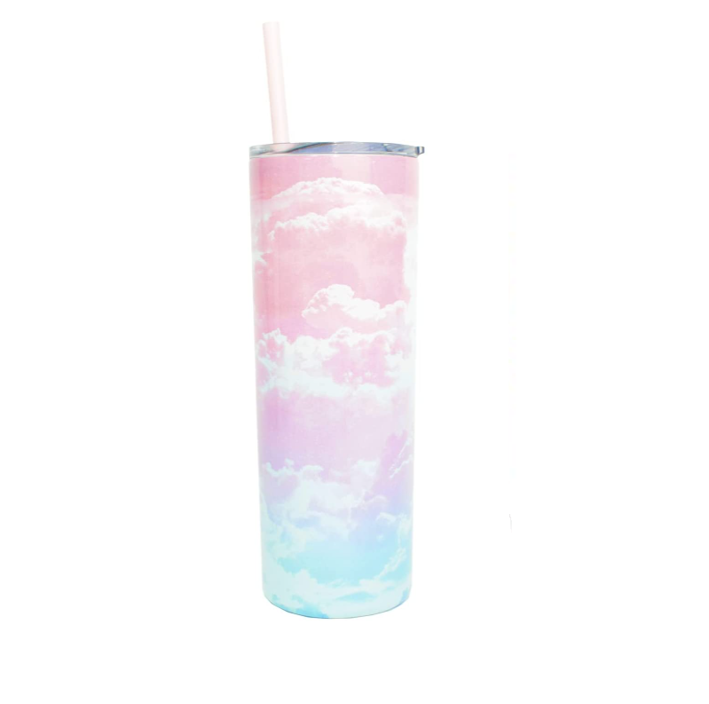 Double Wall Vacuum Insulated Stainless Steel Slim Tumbler with Straw 20 fl.  oz, Pink and Blue